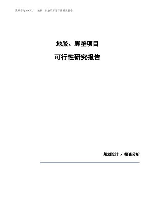 关于建设地胶、脚垫项目可行性研究报告