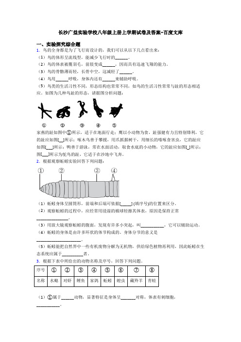 长沙广益实验学校八年级上册上学期试卷及答案-百度文库