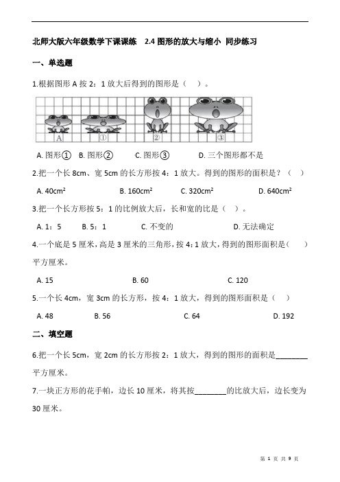 北师大版六年级数学下课课练  2.4图形的放大与缩小 同步练习