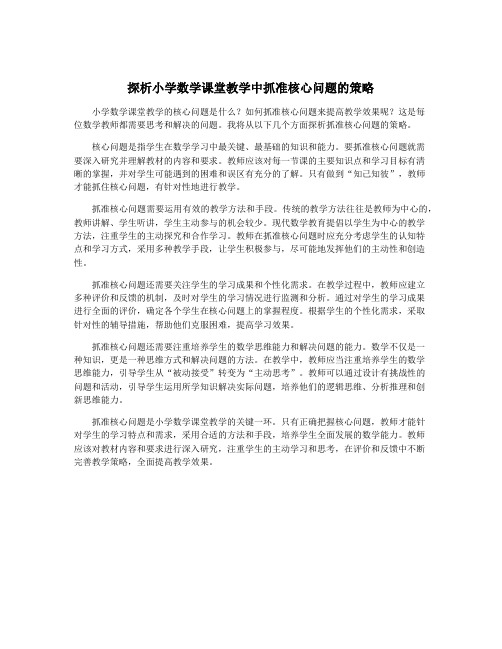 探析小学数学课堂教学中抓准核心问题的策略