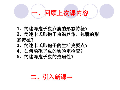 第二节-几种常见寄生性的节肢动物