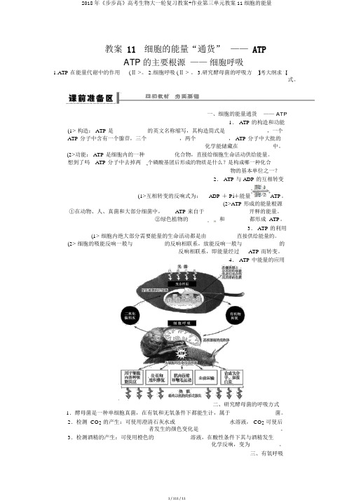 2018年《步步高》高考生物大一轮复习教案+作业第三单元教案11细胞的能量