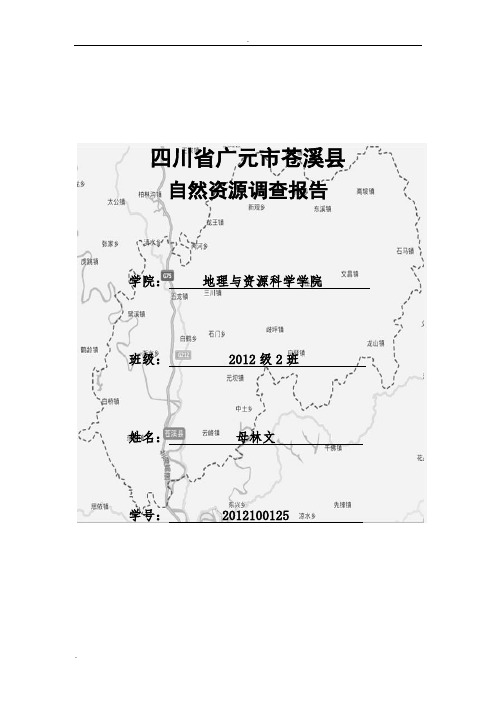 苍溪县主要自然资源调查报告,区域分析与区域规划