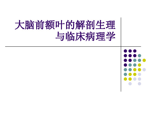 第三节大脑前额叶的解剖生理与临床病理学.