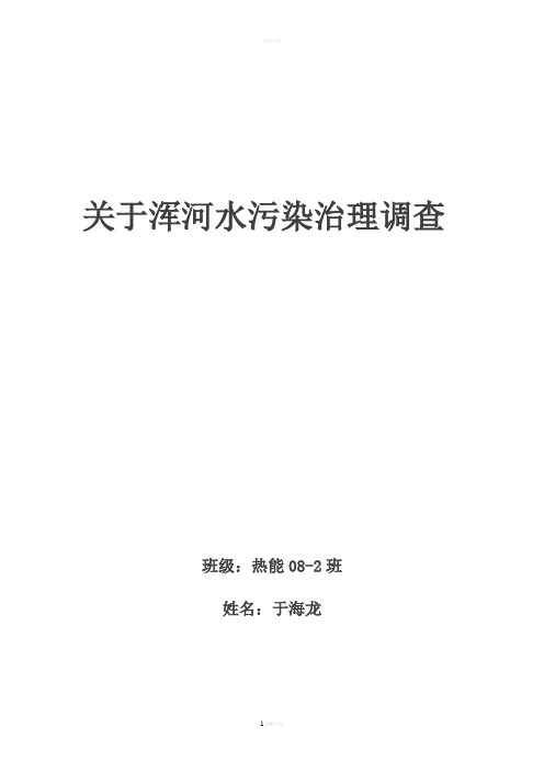 关于浑河水污染治理调查报告