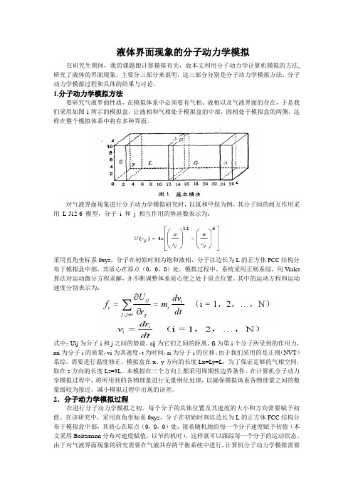 液体界面现象的分子动力学模拟