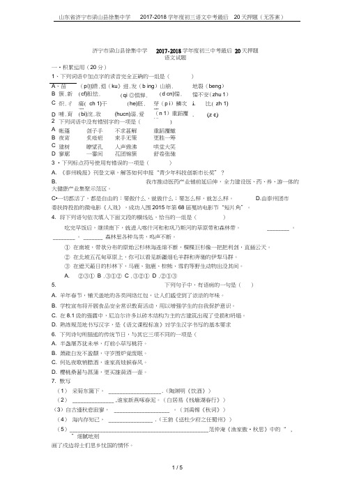 山东省济宁市梁山县徐集中学2017-2018学年度初三语文中考最后20天押题(无答案)