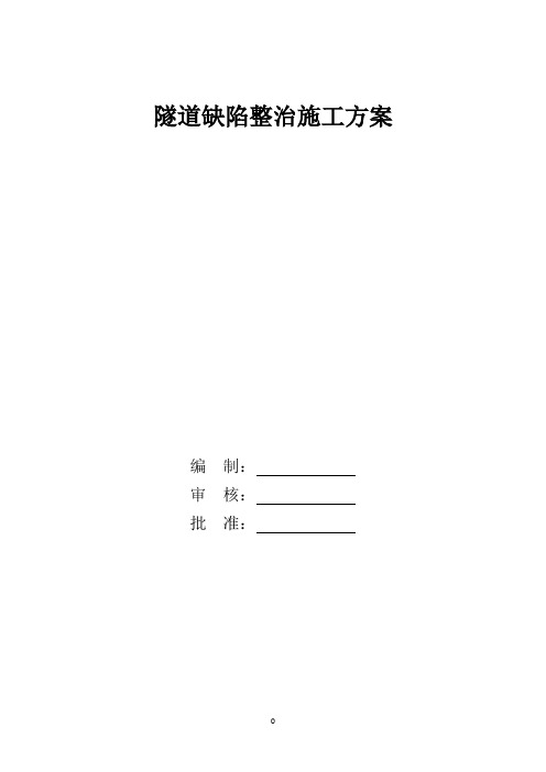 隧道缺陷实施方案