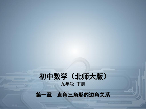 北师大版九年级数学下册第一章30°,45°,60°角的三角函数值