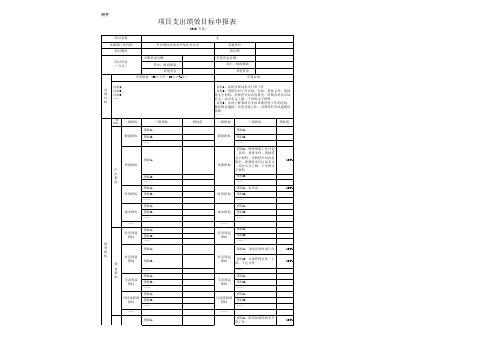 项目支出绩效表