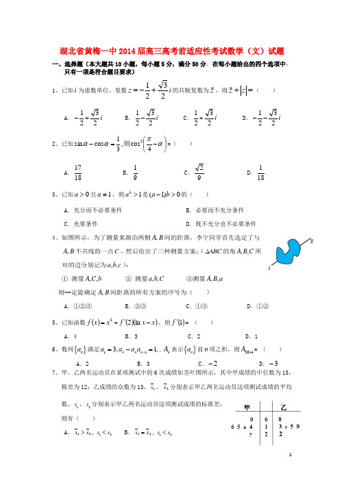 湖北省黄梅一中高三数学适应性考试试题 文