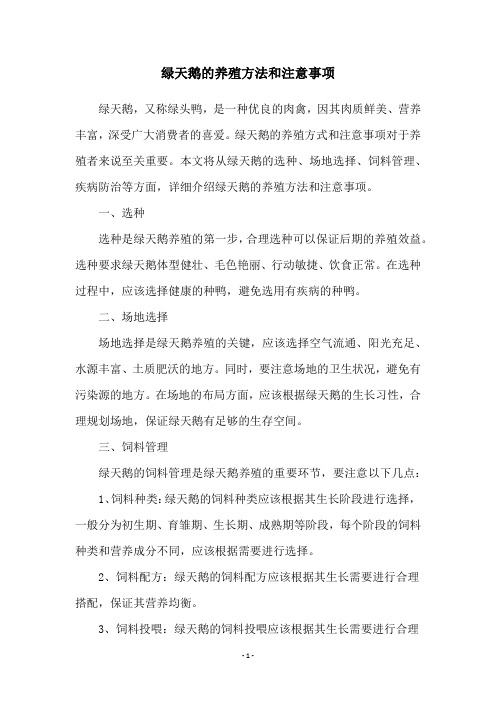 绿天鹅的养殖方法和注意事项