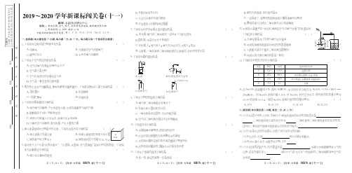 20届九年级化学(河南)闯关卷11
