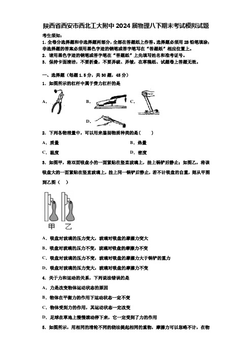 陕西省西安市西北工大附中2024届物理八下期末考试模拟试题含解析