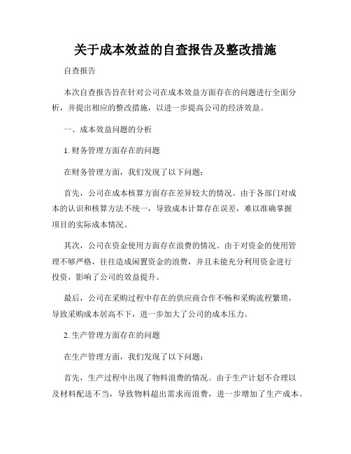 关于成本效益的自查报告及整改措施