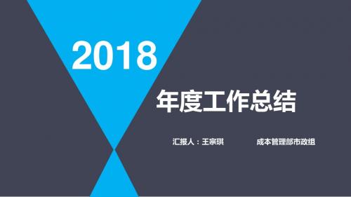 2018年年度市政工作总结汇报