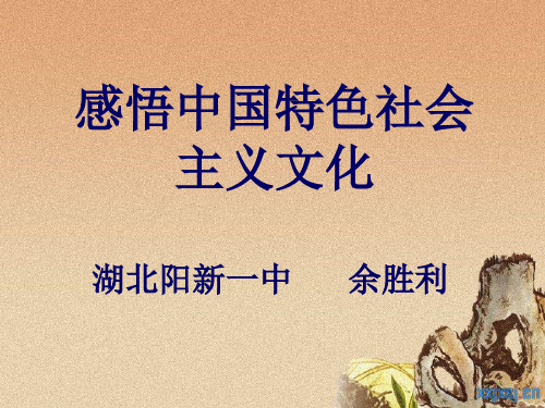 人教版高中政治必修三:10.3 感悟中国特色社会主义文化