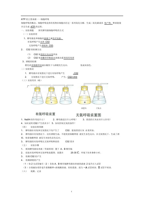 完整版光合作用和呼吸作用知识点总结