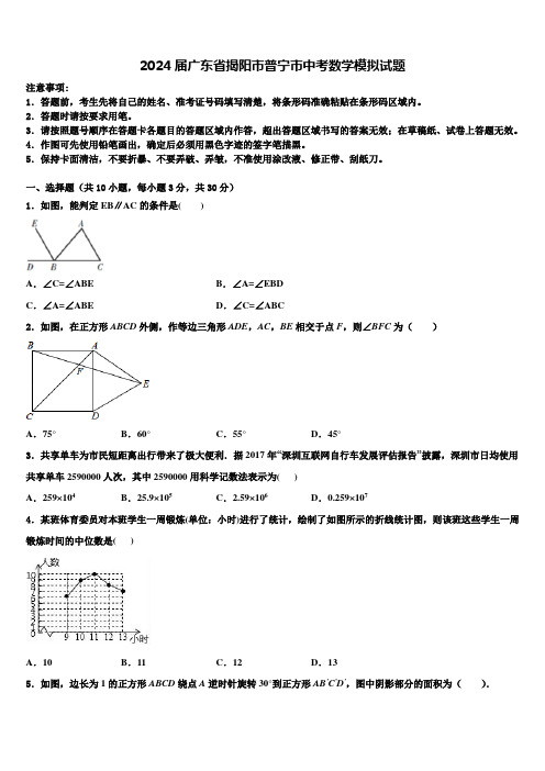 2024届广东省揭阳市普宁市中考数学模拟试题含解析