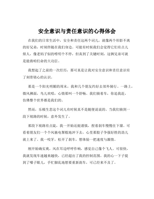 安全意识与责任意识的心得体会