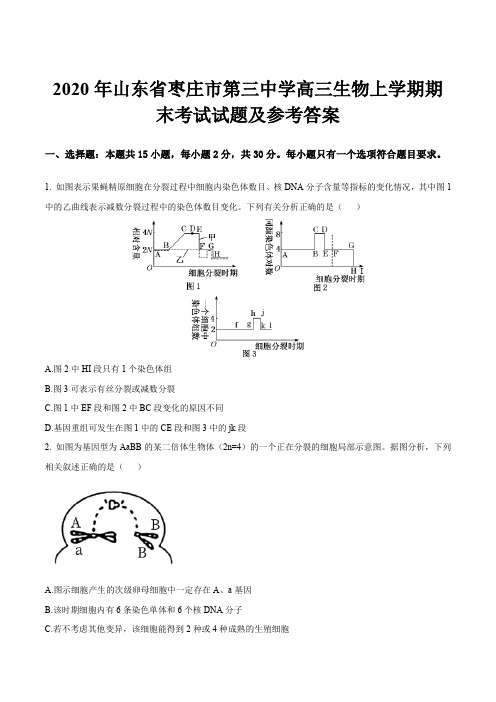 2020年山东省枣庄市第三中学高三生物上学期期末考试试题及参考答案
