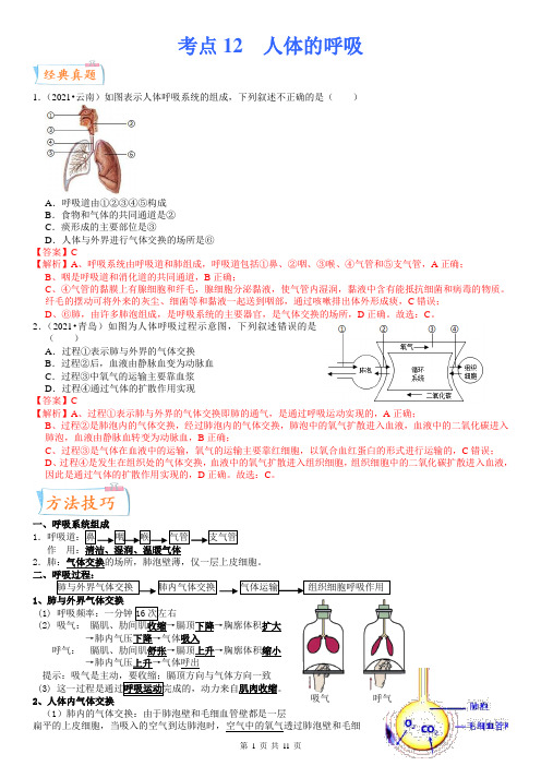 中考生物一轮复习考点微专题考点12 人体的呼吸