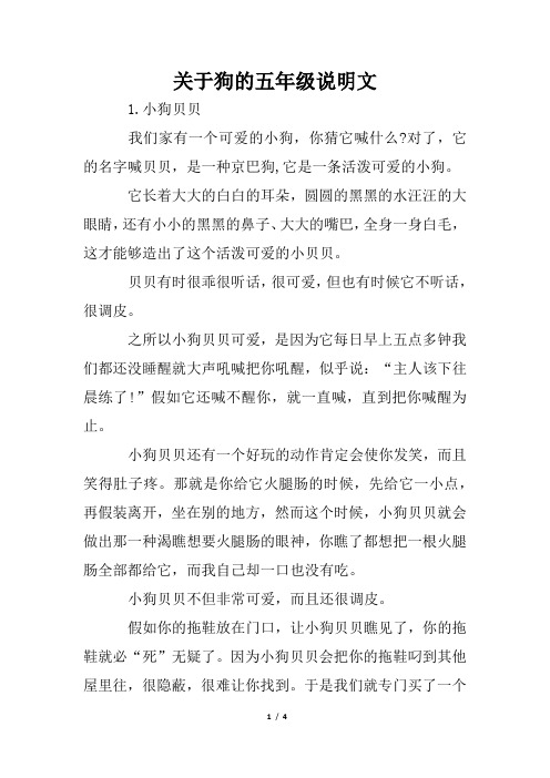 关于狗的五年级说明文