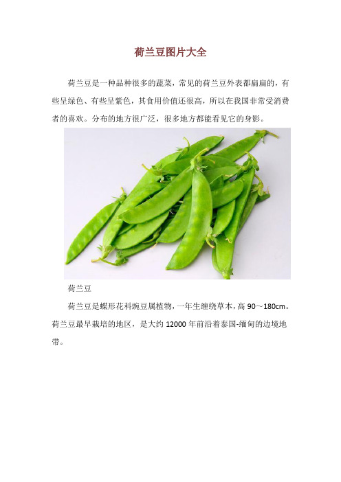 荷兰豆图片大全