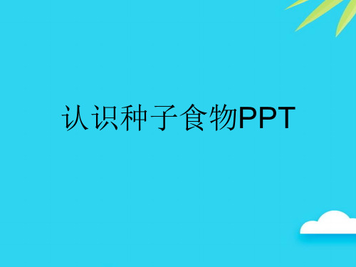 认识种子食物PPT优质PPT资料