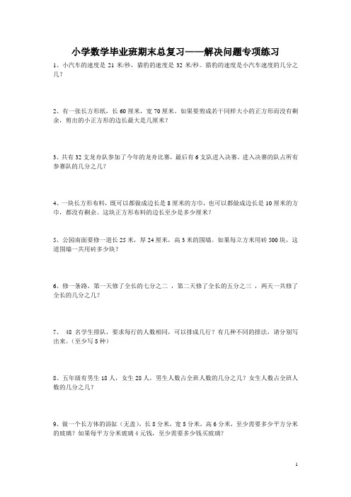 小学数学毕业班期末总复习解决问题一专项练习题