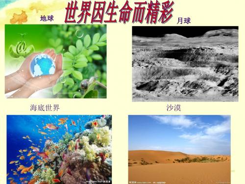 七年级政治上册第二单元第三课3.1世界因生命而精彩课件新人教版