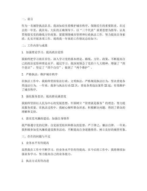 城管执法个人工作总结报告