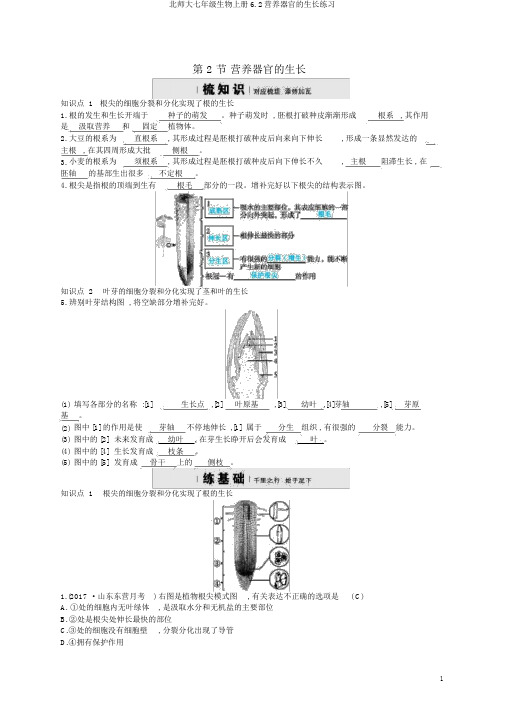 北师大七年级生物上册6.2营养器官的生长练习