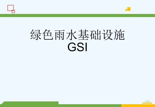 绿色雨水基础设施GSI[可修改版ppt]