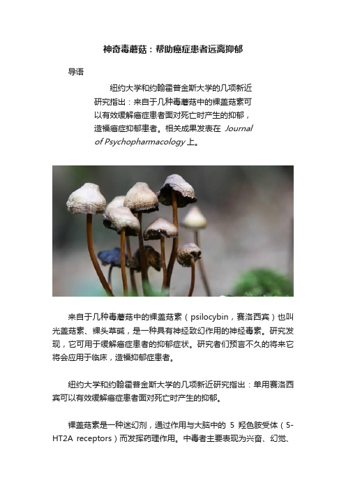 神奇毒蘑菇：帮助癌症患者远离抑郁