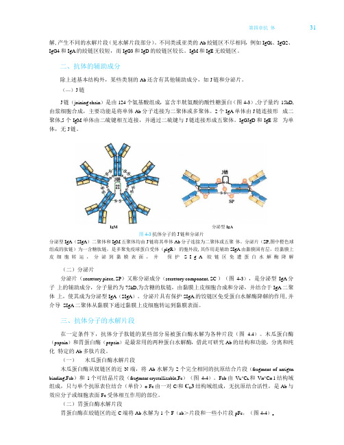 《医学免疫学》人卫第9版教材--高清彩色_41-80