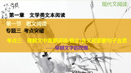 2016高考语文大一轮复习  散文阅读 专题三 考点三 理解文中重要词语(概念)含义和重要句子含意解析