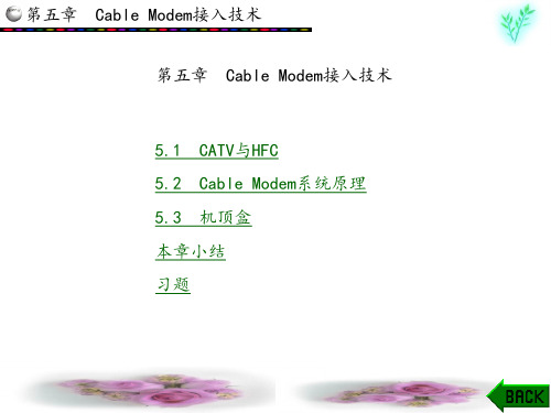 宽带接入网技术(张喜云)章 (5)