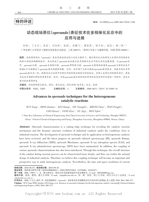 动态现场原位operando表征技术在多相催化反应中的应用与进展