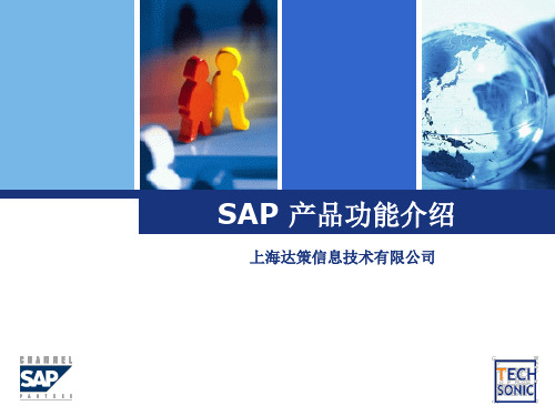 SAP Business One 功能