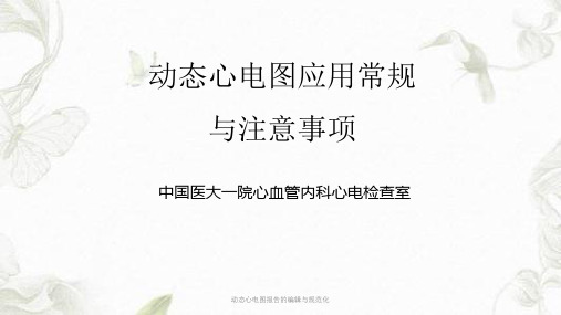 动态心电图报告的编辑与规范化ppt课件