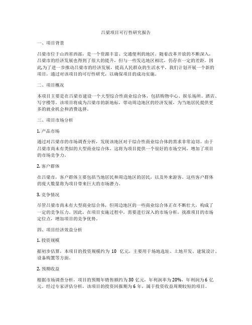 吕梁项目可行性研究报告