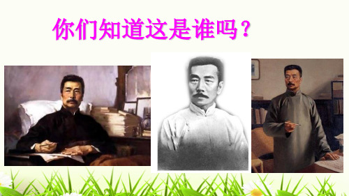 六年级上册语文课件17 少年闰土 人教新课标(共42张PPT)