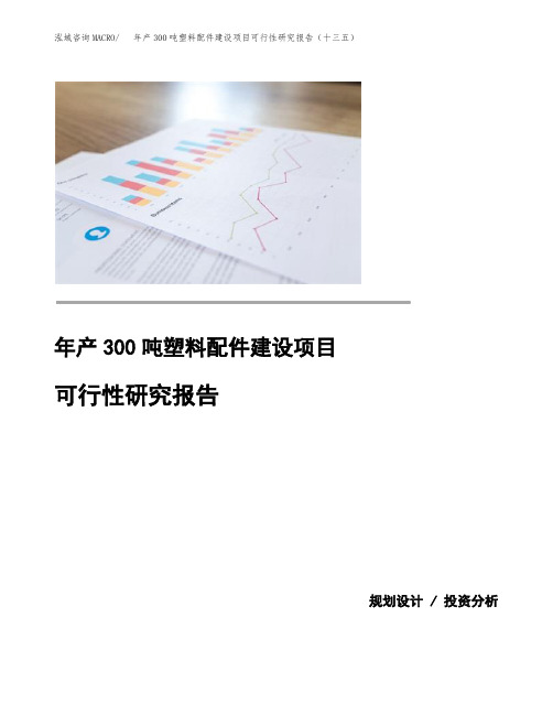 年产300吨塑料配件建设项目可行性研究报告(十三五)