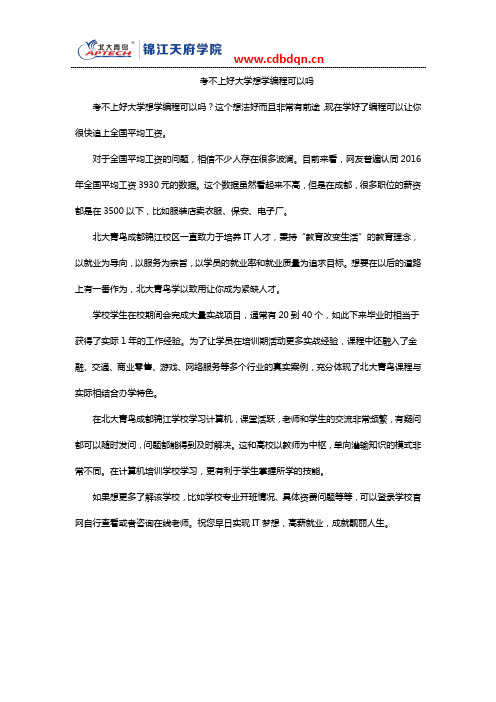 考不上好大学想学编程可以吗