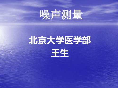 噪声测量 王生