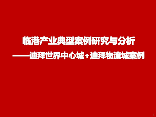 临港产业典型案例研究与分析——迪拜世界中心城+迪拜物流城案例