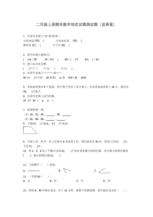 二年级上册期末数学培优试题测试题(及答案)