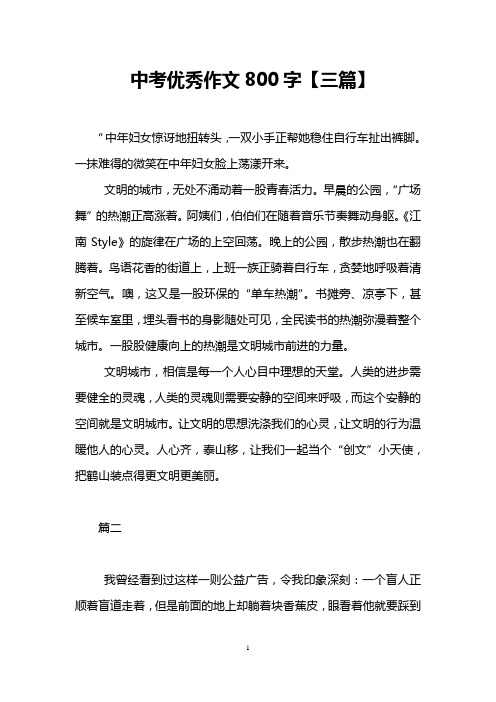 中考优秀作文800字【三篇】