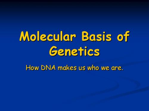 Molecular Basis of Genetics